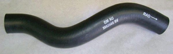 V8 RADIATOR HOSE UPPER L-79 3882885