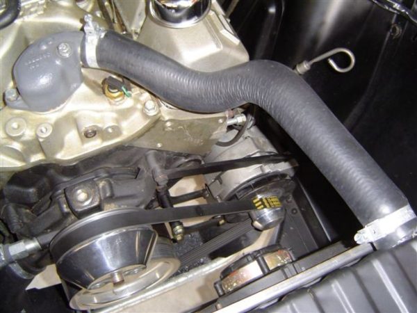 V8 RADIATOR HOSE UPPER