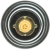 FUEL / GAS CAP