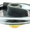 FUEL / GAS CAP
