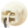 TAIL LIGHT BULB SOCKET