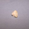 PLASTIC NUT ROUND HEAD FITS SQUARE HOLE