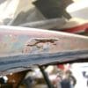 CLIP WINDSHIELD REAR GLASS MOLDING
