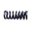 LOWER DOOR HINGE SPRING
