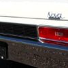 SS REAR TRIM PANEL MOLDING PLASTIC