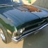 SS HOOD LOUVER BEZEL