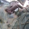 PLASTIC PLUG GROMMET UNDER MASTER CYLINDER