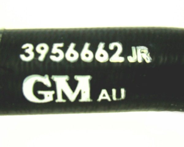 V8 SB UPPER RADIATOR HOSE