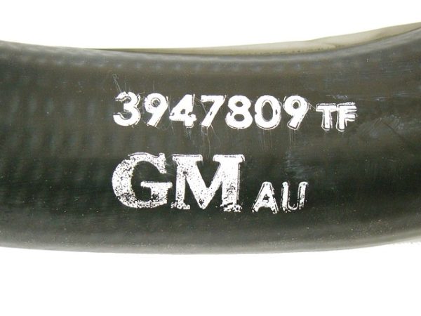 LOWER RADIATOR HOSE BIG BLOCK V8