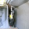 POWER ELECTRIC REAR ANTENNA